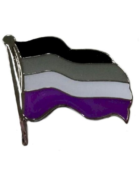 Pin Waving Asexual Flag (6er Pack)