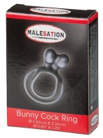 MALESATION Display Set Beginner, Bunny & Adjust.CR