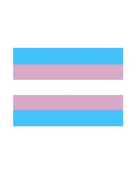 Trans Flag Magnet