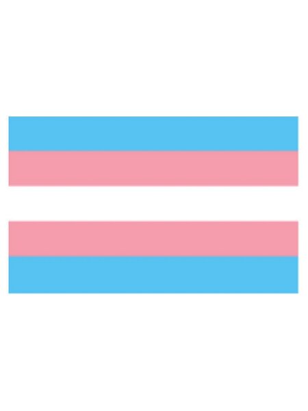 Trans Flag Aufkleber / Sticker 5.0 x 7,6 cm