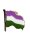 Pin Waving Gender Queer Flag