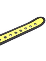 RudeRider Neoprene Puppy Collar Yellow