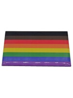 Rainbow POC Flag Magnet