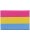 Pansexual Flag Magnet