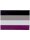 Asexual Flag Magnet