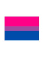 Bisexual Flag Magnet