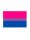 Bisexual Flag Magnet