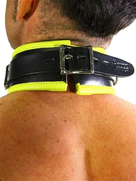 RudeRider Collar 3 D-Ring with Padding Leather Black/Yellow One Size