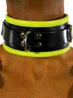 RudeRider Collar 3 D-Ring with Padding Leather...