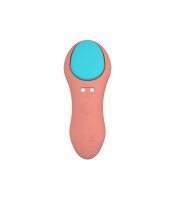 Panty vibrator with coral usb control