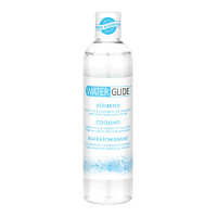 Gleitmittel Erdbeere Waterglide 300 ml