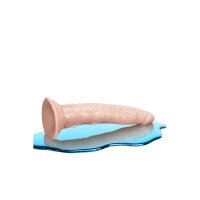 Natürliches Dildo Blush Dr Skin TPE Ø 3,8 cm